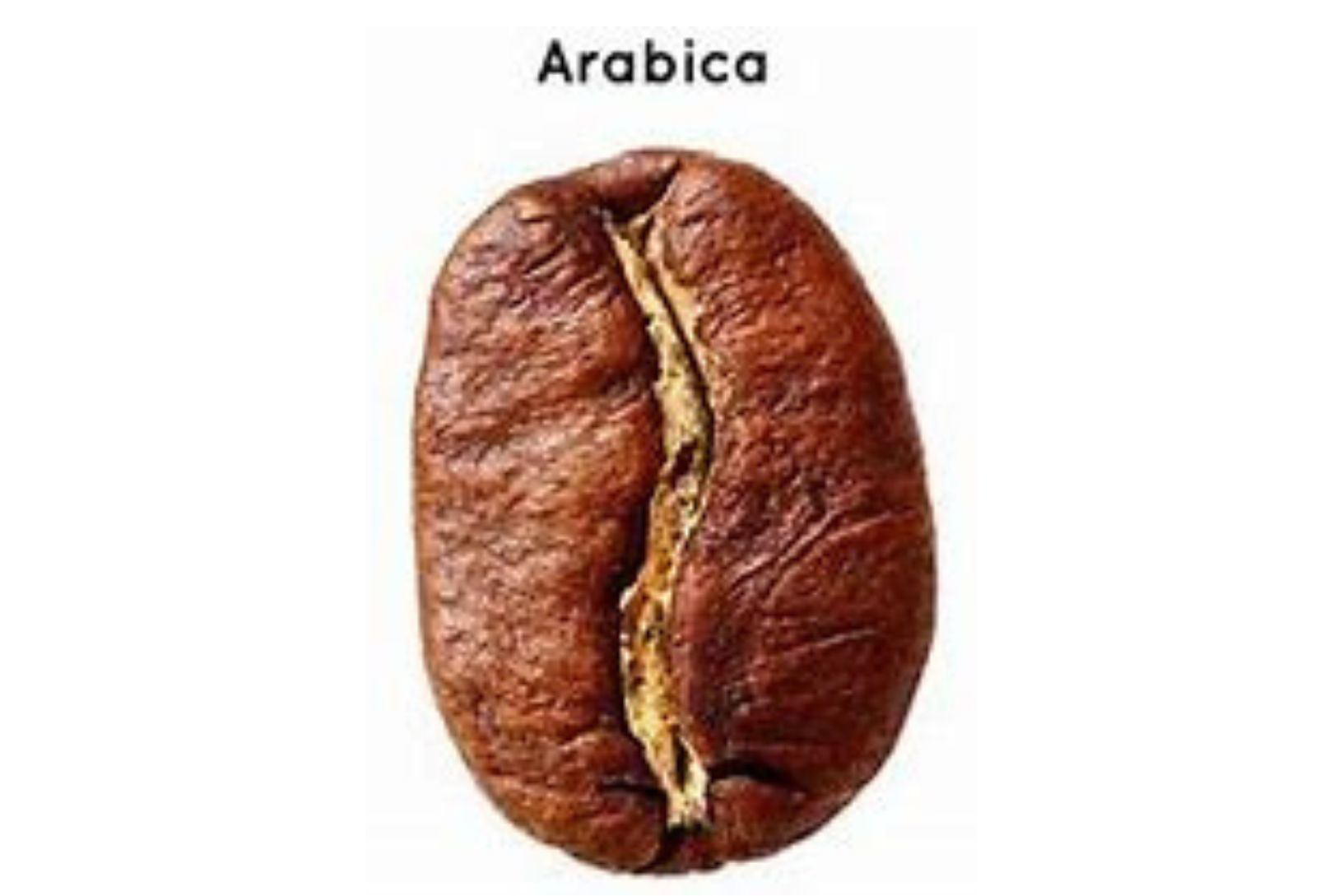 100% ARABICA COFFEE